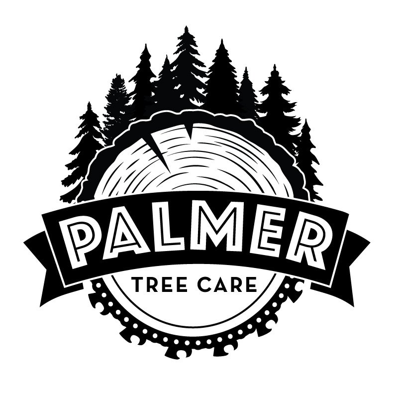Palmer Tree Care
